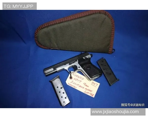 深入分析西安飞盘队防反战术的独特魅力与实战应用